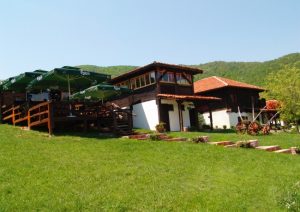 Etno Selo brestovi i vizija Arandjelovac